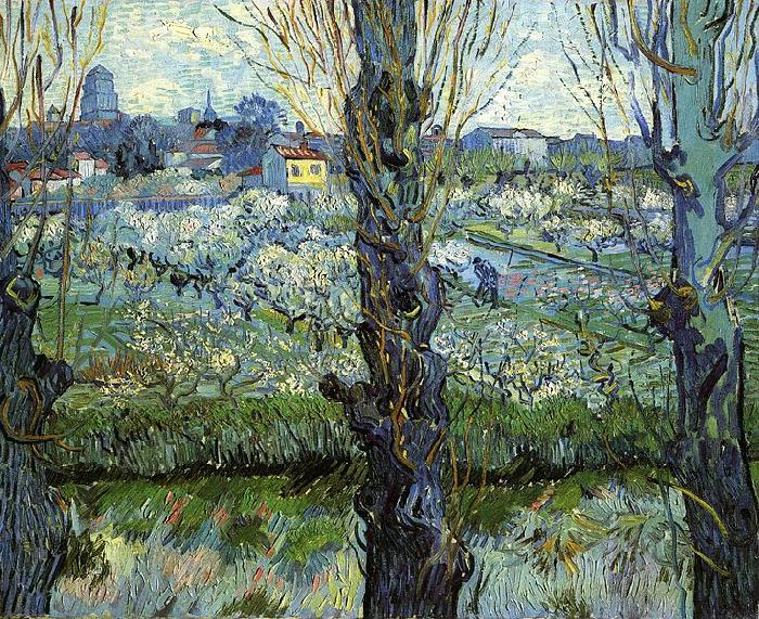 Vincent Van Gogh Orchard in Bloom with Poplars oil painting image